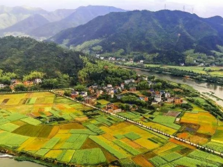 近日，甘肅省人民政府辦公廳關(guān)于對(duì)省鄉(xiāng)村振興局（原省扶貧辦）、省農(nóng)業(yè)農(nóng)村廳、省教育廳、玉門(mén)市、卓尼縣予以表?yè)P(yáng)的通報(bào)。根據(jù)《國(guó)務(wù)院辦公廳關(guān)于對(duì)2020年落實(shí)有關(guān)重大政策措施真抓實(shí)干成效明顯地方予以督查激勵(lì)